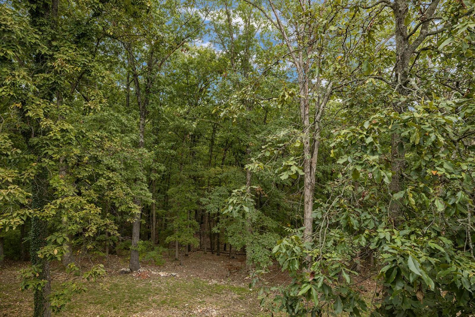 The Lofts On Indian Point - Near Silver Dollar City Branson Exteriör bild